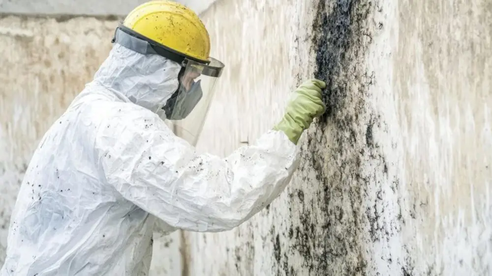 Worker in protective gear and face shield working on a moldy wall