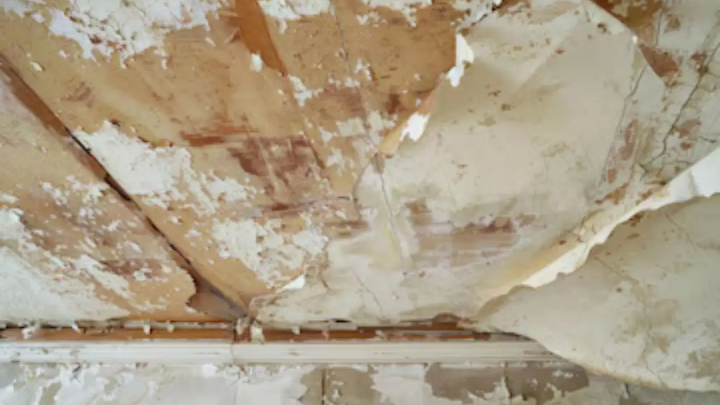 Ceiling with peeling paint and water stains