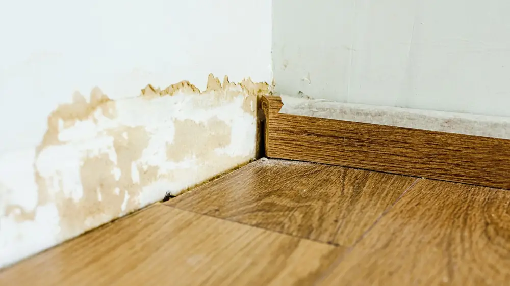 Water stain on a wall above a wood floor